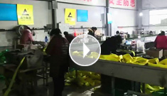 XPJ吊装带车间新增设备：吊装带带皮传输带